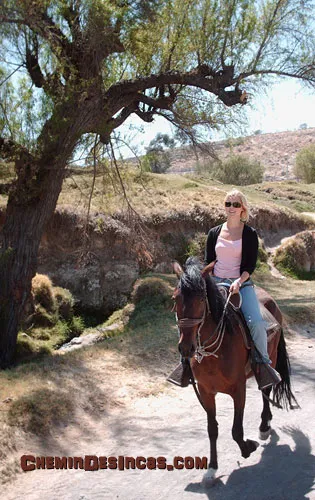 Voyageuse à cheval sous un arbre, dans la campagne andine